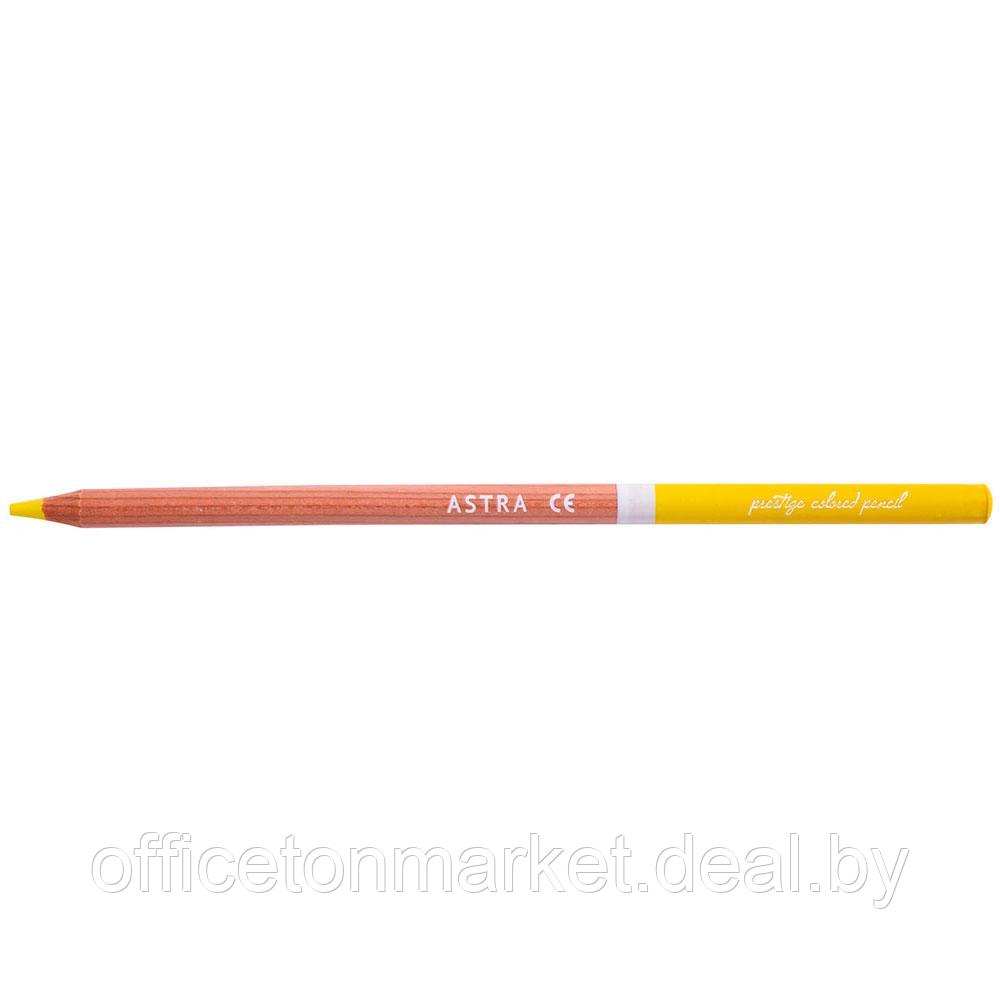 Набор цветных карандашей "Prestige", 48 цветов - фото 3 - id-p208928492