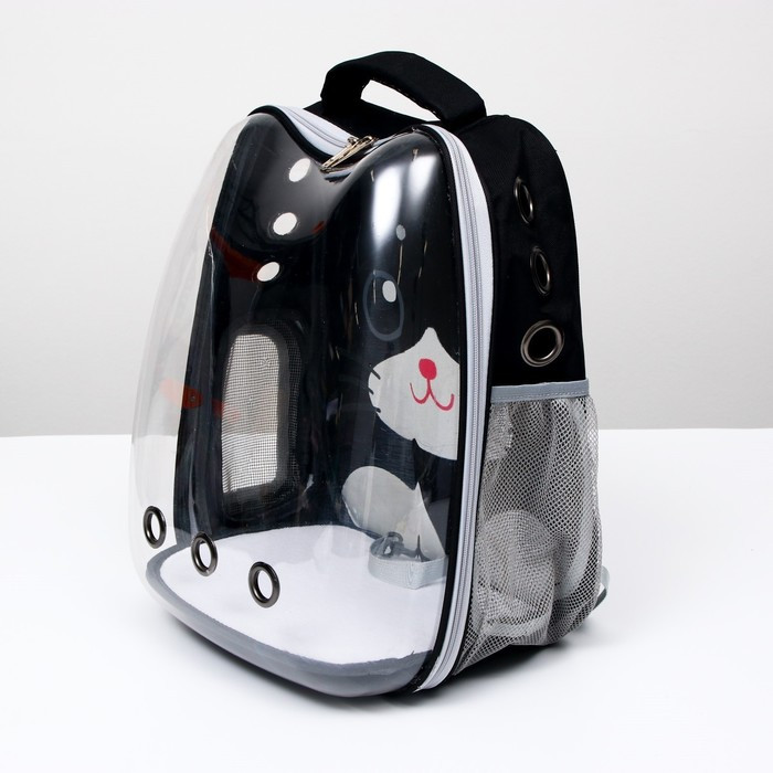 Рюкзак для переноски животных "Котик", прозрачный, 34 х 25 х 40 см, чёрный - фото 7 - id-p208930438