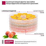 Сушилка для овощей и фруктов «‎Мастерица EFD-0501M», 125 Вт, белая, фото 3