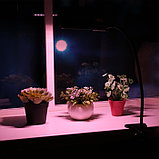 Фитосветильник светодиодный Uniel, 12 Вт, на прищепке, для фотосинтеза, IP40, фото 2
