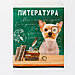 Предметная тетрадь, 48 листов, «МИЛЫЕ ПИТОМЦЫ», со справочными материалами «Литература», обложка мелованный, фото 7