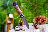 Охотничий нож "Колибри", стальХ12МФ, рукоять черный граб стабилизированная карельская береза (коричневая)., фото 2