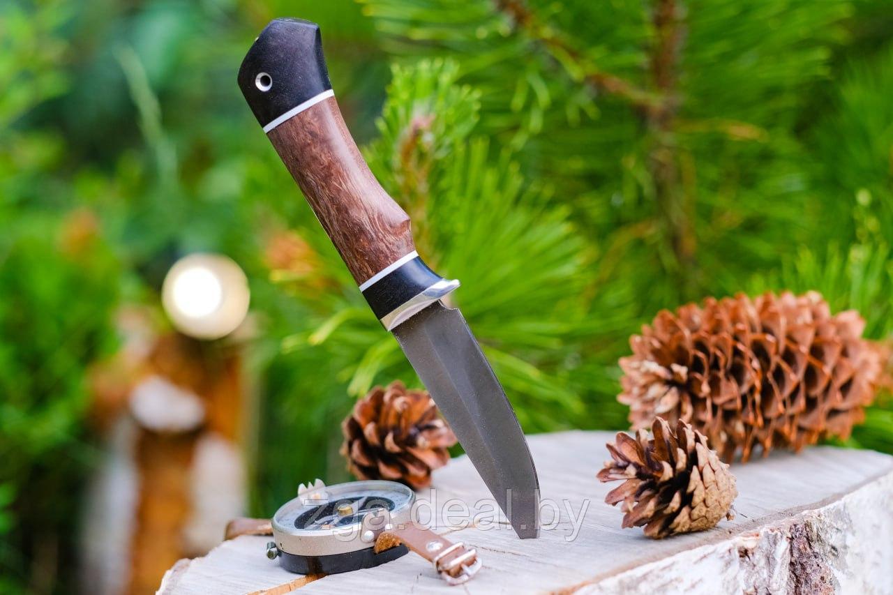Охотничий нож "Колибри", стальХ12МФ, рукоять черный граб стабилизированная карельская береза (коричневая). - фото 2 - id-p199235207