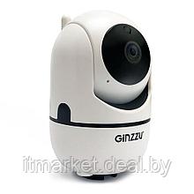 Камера видеонаблюдения GINZZU HWD-2302A