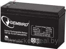 Аккумулятор для ИБП Gembird BAT-12V7AH (12V, 7AH) - фото 1 - id-p208973387