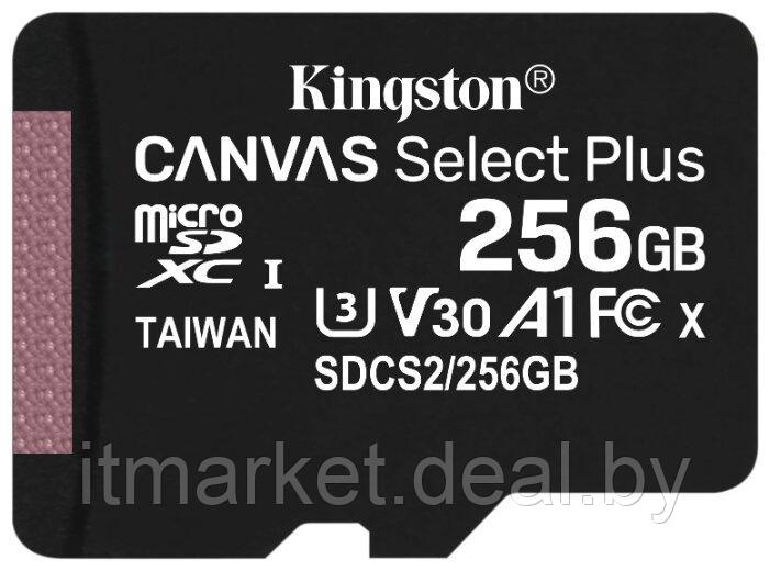 Карта памяти 256Gb Kingston Canvas Select Plus (SDCS2/256GBSP) - фото 1 - id-p208983411