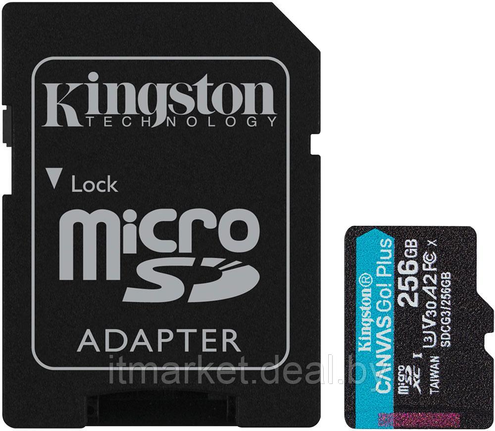 Карта памяти 256Gb Kingston Canvas Go! SDCG3/256GB - фото 1 - id-p208981483