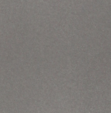 Порошковая краска Лак PE10DT9209100CMX