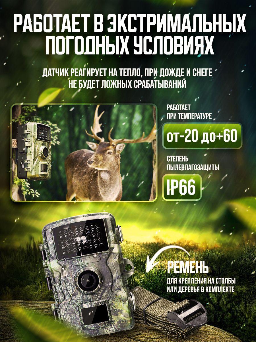 Камера для охоты с ночным видением 16МП (фотоловушка) Hunting Camera - фото 6 - id-p209012417