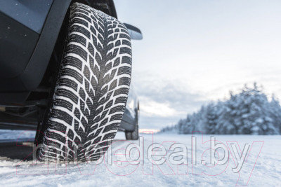 Зимняя шина Nokian Tyres Hakkapeliitta R3 SUV 235/65R18 110R - фото 5 - id-p209012181