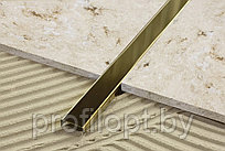 Фриз для плитки  из нержавеющей стали 20 мм. цвет Золото Полированное, 270 см