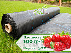 Агроткань для клубники 100гр/м2 4.2м