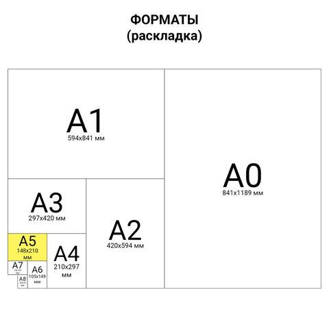 Блокнот А5 (146х205 мм) 60 л., гребень, перфорация на отрыв, лакированный, BRAUBERG - фото 5 - id-p209271214