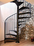 Лестница внутренняя с гусиным шагом, фото 2