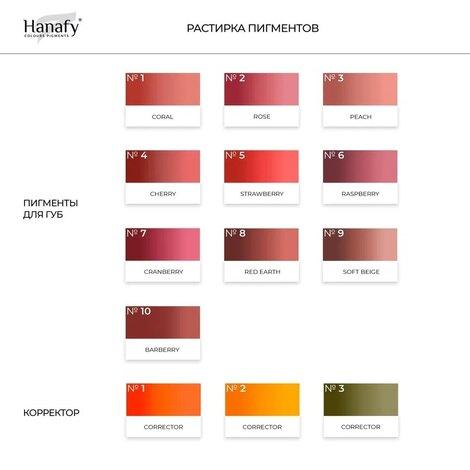 Пигмент HANAFY Hanafy Colours Pigments - Corrector № 1 - фото 4 - id-p209285120