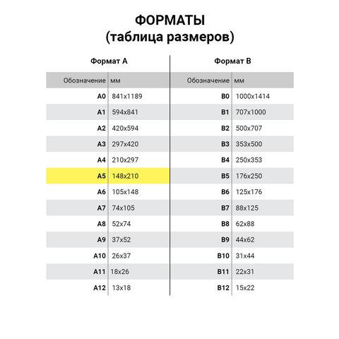 Тетрадь А5, 48 л., BRAUBERG, клетка, обложка картон, АКЦЕНТ - фото 5 - id-p209307314