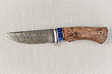 Охотничий нож Гепард дамаск карельская береза коричневая акрил. Подарок мужчине., фото 2