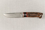 Охотничий нож «Соболь» из стали М390 (новинка), рукоять литье мельхиор, ценные породы древесины., фото 2