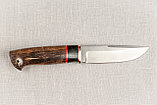 Охотничий нож «Соболь» из стали М390 (новинка), рукоять литье мельхиор, ценные породы древесины., фото 3