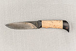 Охотничий нож «Мурена»из кованой стали Х12МФ , рукоять карельская береза, черный граб. Лучший подарок мужчине., фото 3