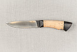 Охотничий нож «Кулик» из кованой стали Х12МФ, рукоять карельская береза, черный граб. Подарок мужчине., фото 3