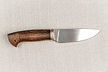 Охотничий нож «Сокол» из нержавеющей стали 95х18, рукоять литье мельхиор, венге (шкуросъём, разделочный), фото 3