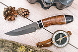 Охотничий нож Лань, сталь клинка Х12МФ,рукоять черный граб стабилизированная карельская береза., фото 2