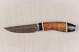 Охотничий нож Лань, сталь клинка Х12МФ,рукоять черный граб стабилизированная карельская береза., фото 4