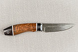 Охотничий нож Лань, сталь клинка Х12МФ,рукоять черный граб стабилизированная карельская береза., фото 5