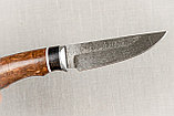 Охотничий нож Лань, сталь клинка Х12МФ,рукоять черный граб стабилизированная карельская береза., фото 6