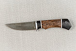 Охотничий нож "Колибри", стальХ12МФ, рукоять черный граб стабилизированная карельская береза (коричневая)., фото 7