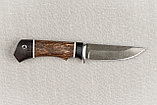Охотничий нож "Колибри", стальХ12МФ, рукоять черный граб стабилизированная карельская береза (коричневая)., фото 8