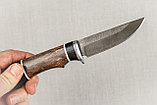Охотничий нож "Колибри", стальХ12МФ, рукоять черный граб стабилизированная карельская береза (коричневая)., фото 9