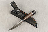 Охотничий нож "Ласка" , сталь  Х12МФ, черный граб стабилизированная карельская береза (коричневая)., фото 2