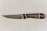 Охотничий нож "Ласка" , сталь  Х12МФ, черный граб стабилизированная карельская береза (коричневая)., фото 3