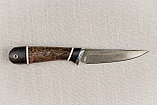 Охотничий нож "Ласка" , сталь  Х12МФ, черный граб стабилизированная карельская береза (коричневая)., фото 4