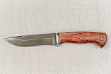 Охотничий нож "Варан", сталь Х12МФ, рукоять из дерева  бубинга. Подарок мужчине., фото 2