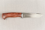 Охотничий нож "Варан", сталь Х12МФ, рукоять из дерева  бубинга. Подарок мужчине., фото 3