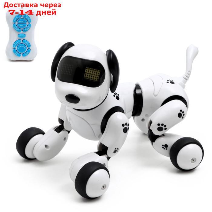 Робот - собака, радиоуправляемый "Долматинец", русское озвучивание, работает от аккумулятора