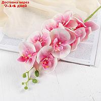 Цветы искусственные "Орхидея Изящная" 10*100 см, розовая