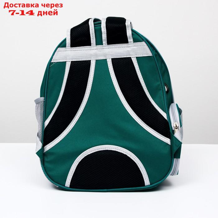 Рюкзак для переноски животных прозрачный, 31 х 28 х 42 см, сине-зелёный - фото 5 - id-p209294415
