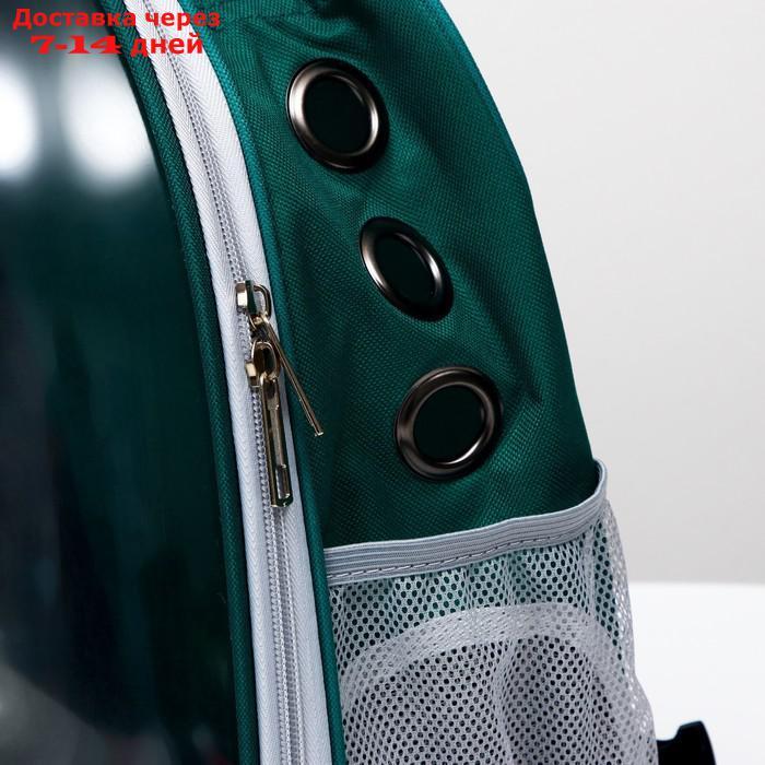 Рюкзак для переноски животных прозрачный, 31 х 28 х 42 см, сине-зелёный - фото 6 - id-p209294415