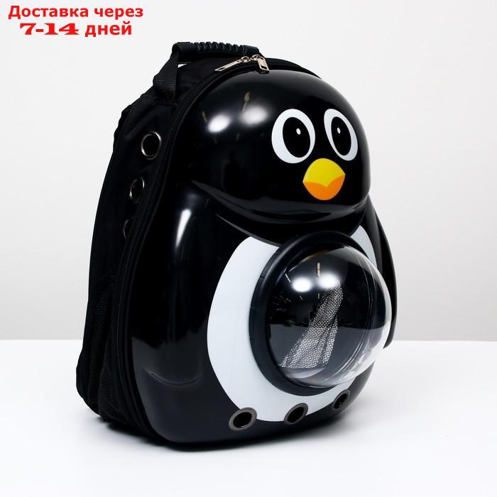 Рюкзак для переноски животных с окном для обзора "Пингвин", 32 х 25 х 42 см - фото 1 - id-p209294417