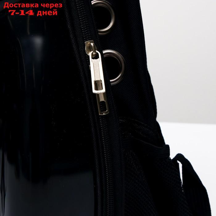 Рюкзак для переноски животных с окном для обзора "Пингвин", 32 х 25 х 42 см - фото 6 - id-p209294417