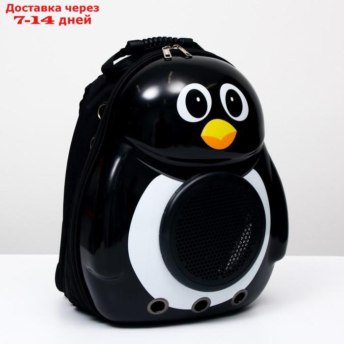 Рюкзак для переноски животных с окном для обзора "Пингвин", 32 х 25 х 42 см - фото 9 - id-p209294417