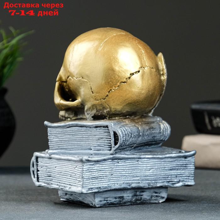 Фигура "Череп с книгой" бронза с серебром, 19см - фото 3 - id-p209301400