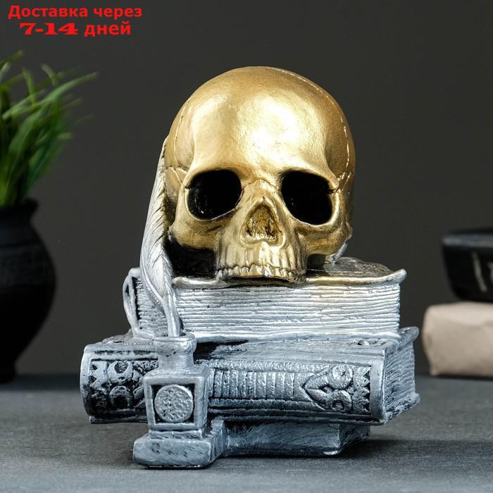 Фигура "Череп с книгой" бронза с серебром, 19см - фото 4 - id-p209301400