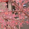 Дерево светодиодное улич. 3 м. "Акриловое" 2304LED, 140W, 220V, МУЛЬТИ(RGB), фото 5