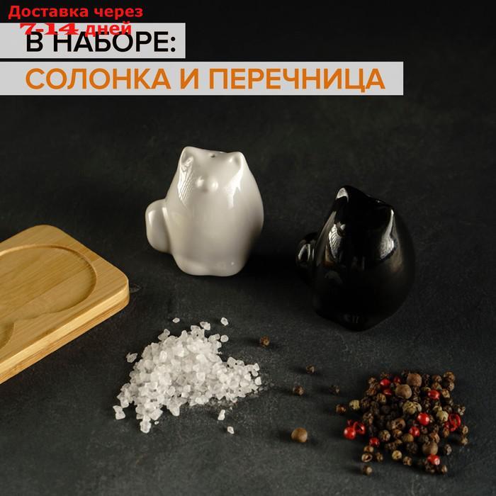 Набор для специй Доляна "Котики", 2 предмета: солонка, перечница - фото 3 - id-p209289587