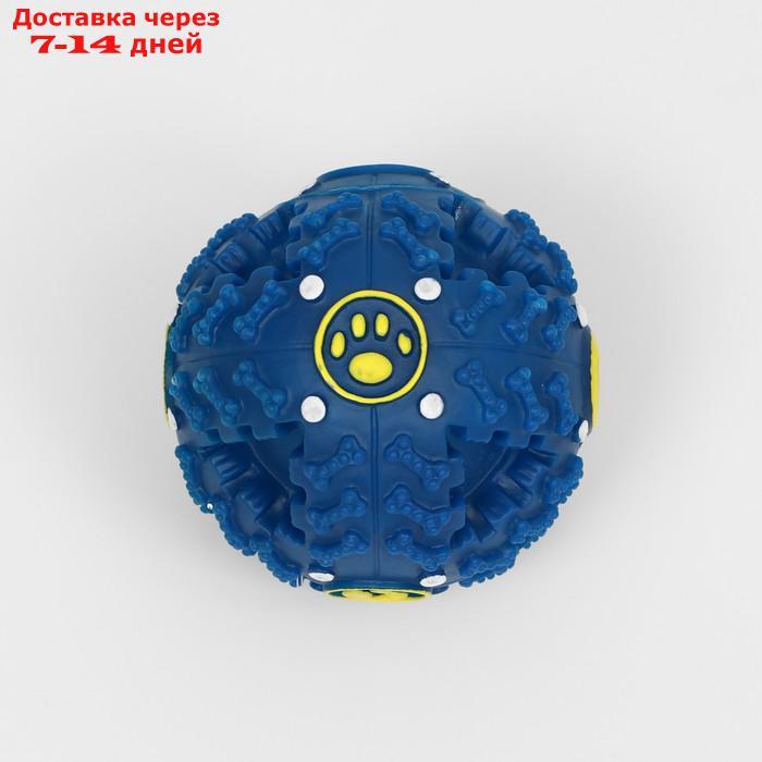 Квакающий мяч для собак большой, жёсткий, 9,5 см, тёмно-синий - фото 3 - id-p209297551